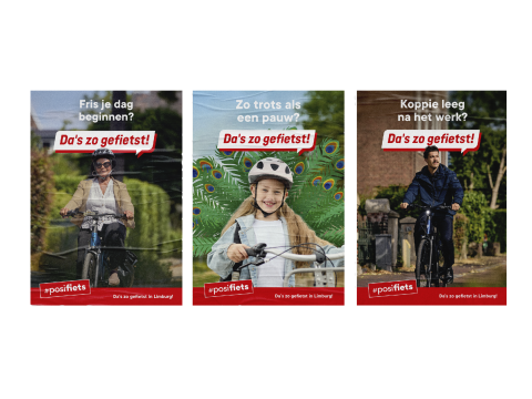 Ad Eight   work website das zo gefietst2